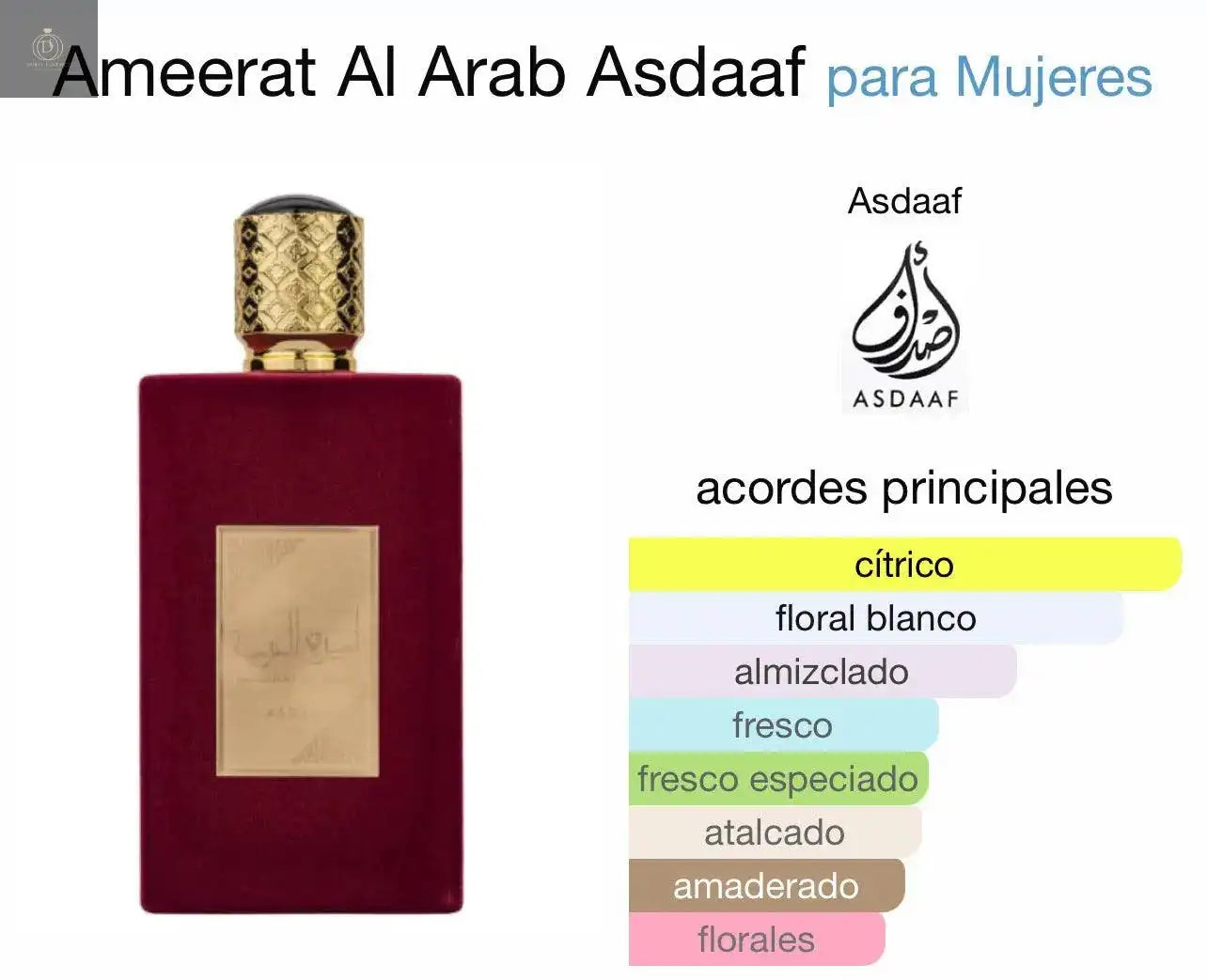 🌸✨ Ameerat Al Arab – Princesa de Arabia ✨🌸