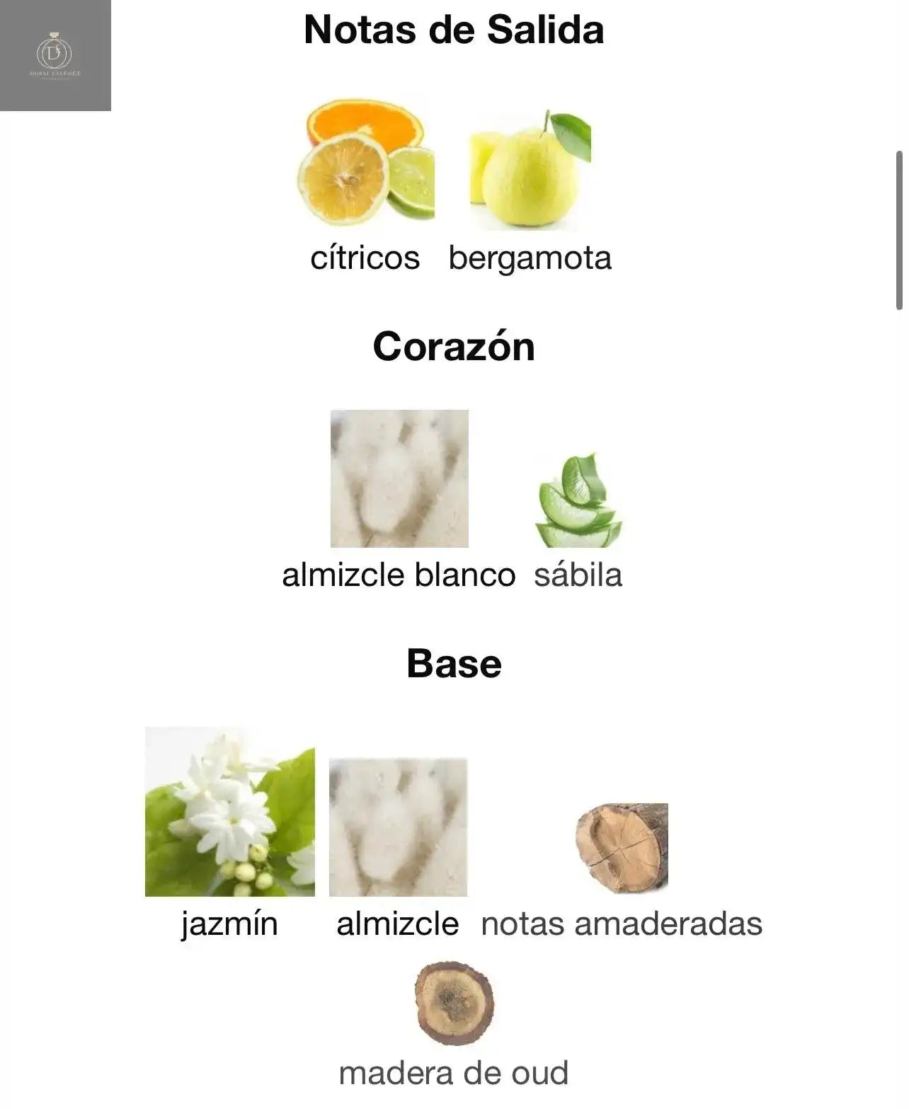 🌸✨ Ameerat Al Arab – Princesa de Arabia ✨🌸