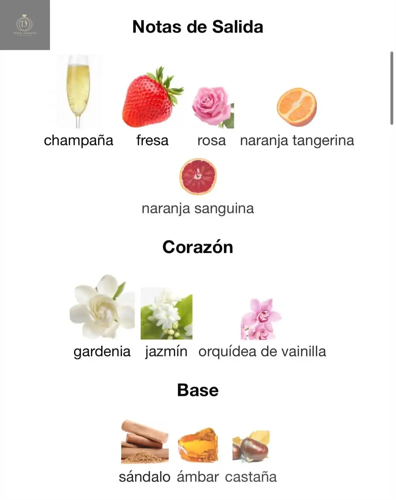 ✨ Beech Lattafa 100ml – Perfume para Mujer ✨